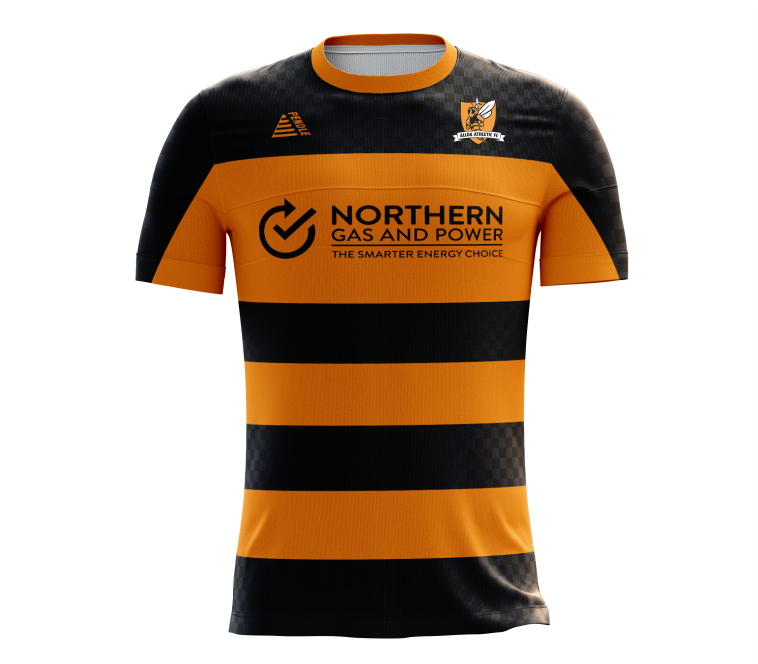 Alloa 2022-24 Home Top